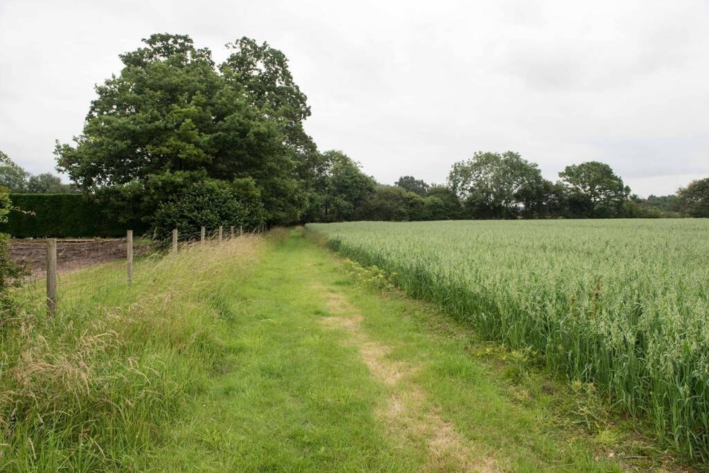 Immaculate Barn Annexe Close To Stansted Airport Great Dunmow Exterior photo